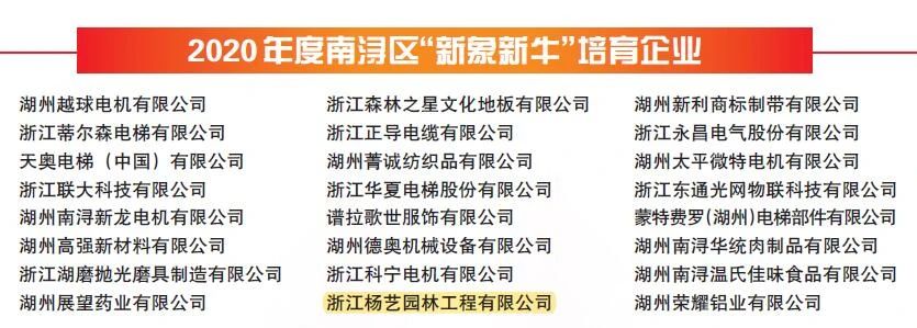 南宫NG28相信品牌的实力网址(中国)官网