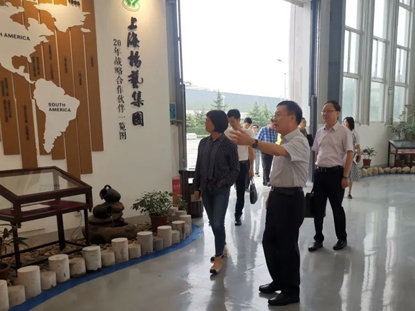 南宫NG28相信品牌的实力网址(中国)官网