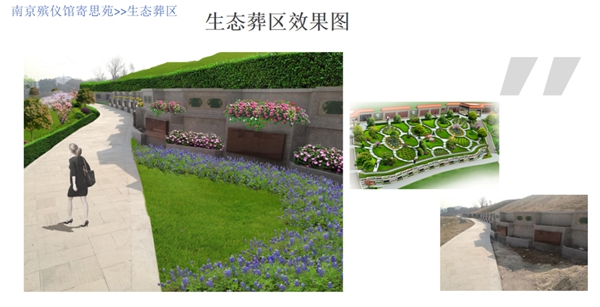 南宫NG28相信品牌的实力网址(中国)官网