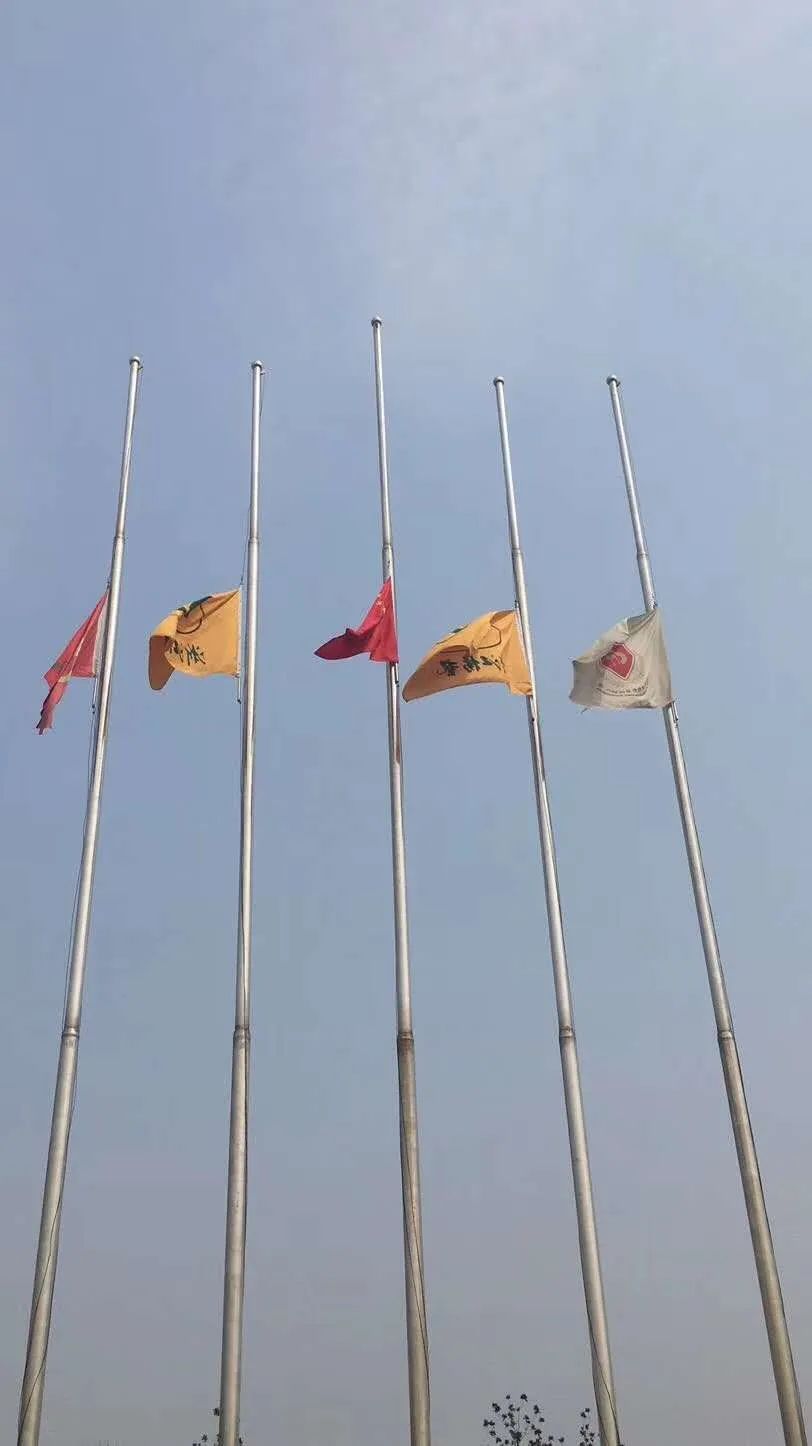 南宫NG28相信品牌的实力网址(中国)官网