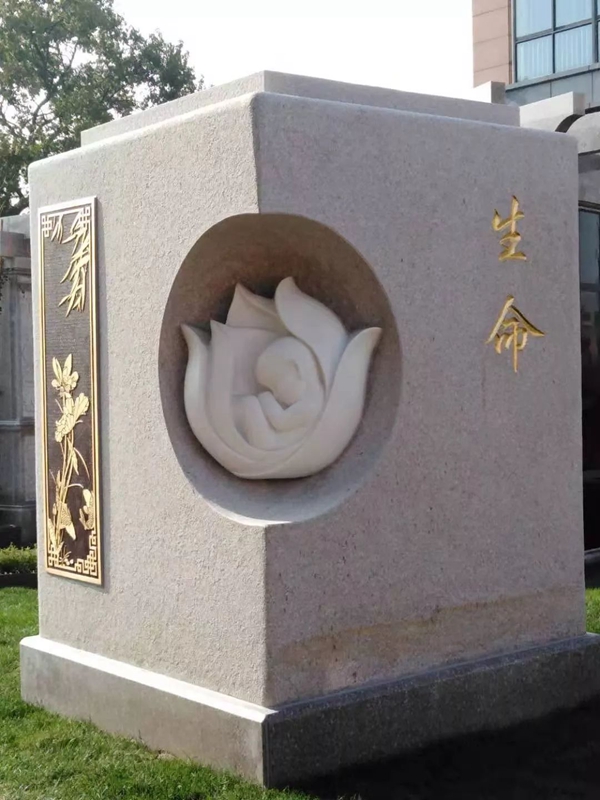 南宫NG28相信品牌的实力网址(中国)官网