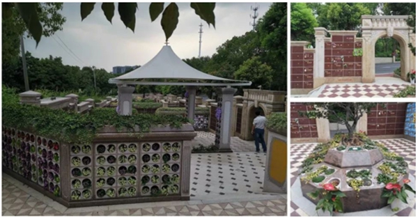 南宫NG28相信品牌的实力网址(中国)官网