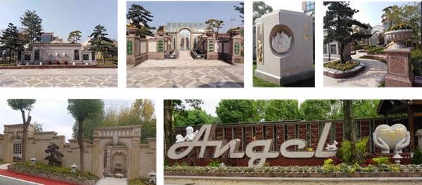 南宫NG28相信品牌的实力网址(中国)官网