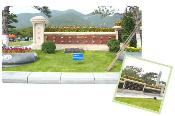 南宫NG28相信品牌的实力网址(中国)官网