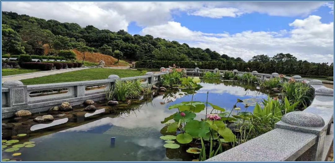 南宫NG28相信品牌的实力网址(中国)官网