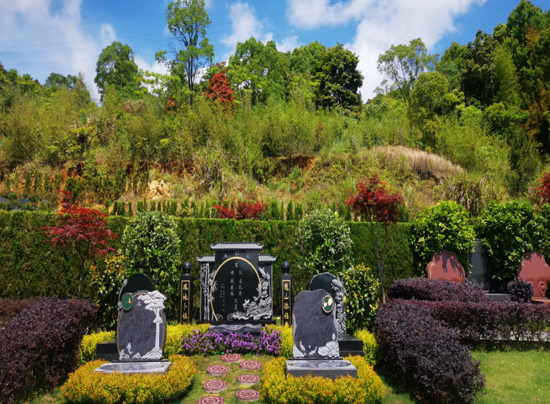 南宫NG28相信品牌的实力网址(中国)官网