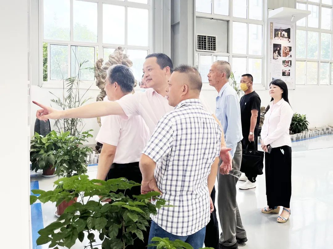 南宫NG28相信品牌的实力网址(中国)官网