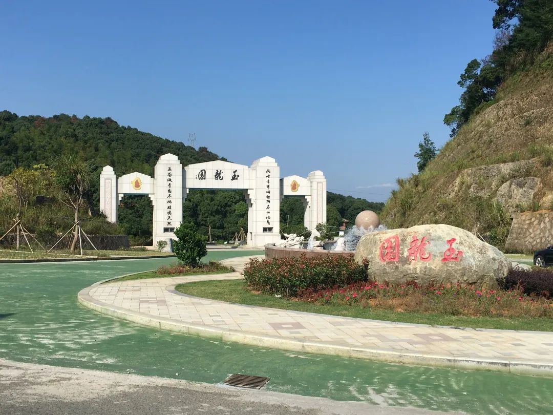 南宫NG28相信品牌的实力网址(中国)官网