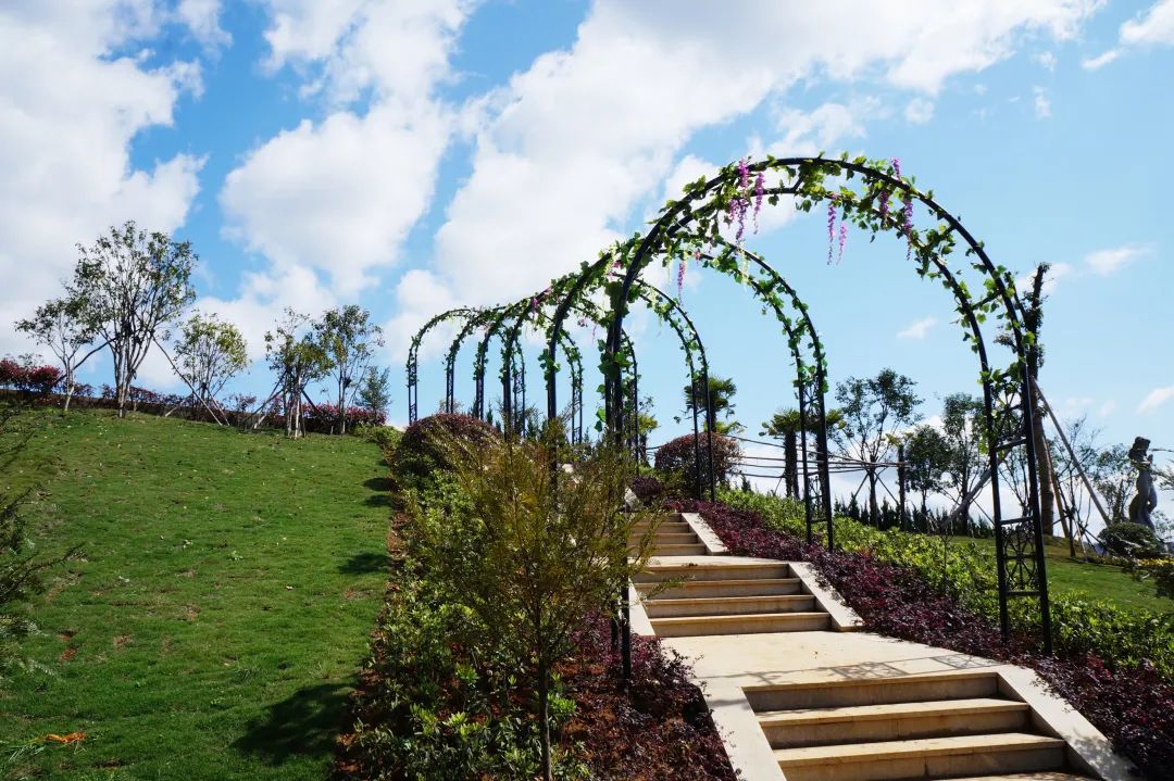 南宫NG28相信品牌的实力网址(中国)官网