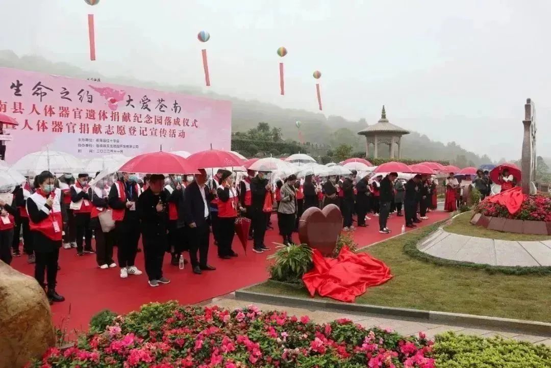 南宫NG28相信品牌的实力网址(中国)官网