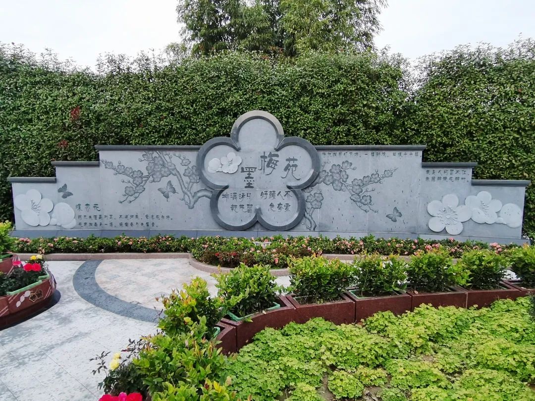 南宫NG28相信品牌的实力网址(中国)官网