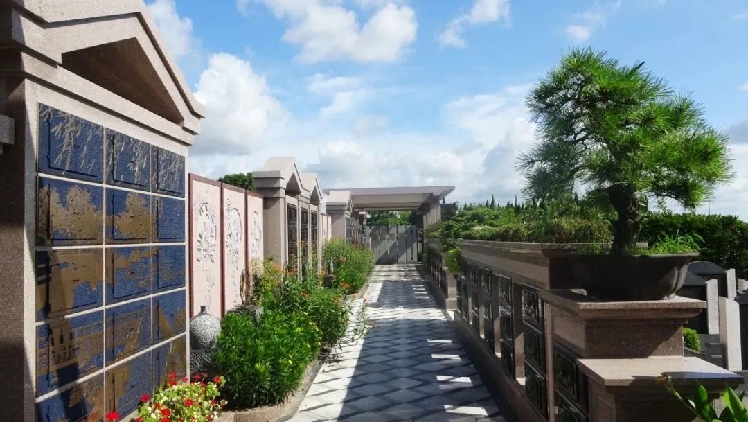 南宫NG28相信品牌的实力网址(中国)官网