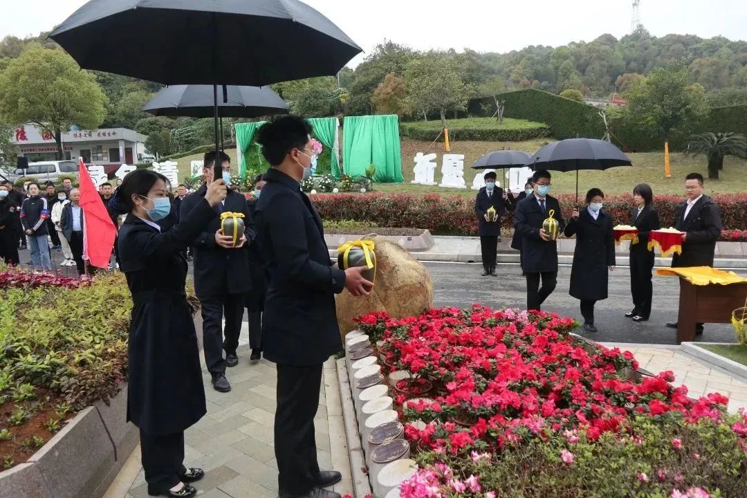 南宫NG28相信品牌的实力网址(中国)官网