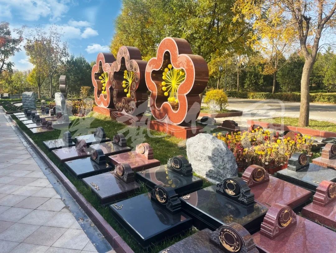 南宫NG28相信品牌的实力网址(中国)官网