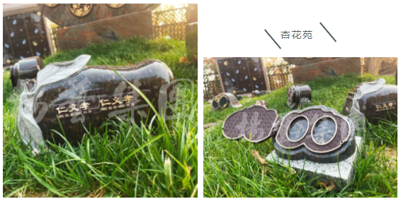 南宫NG28相信品牌的实力网址(中国)官网