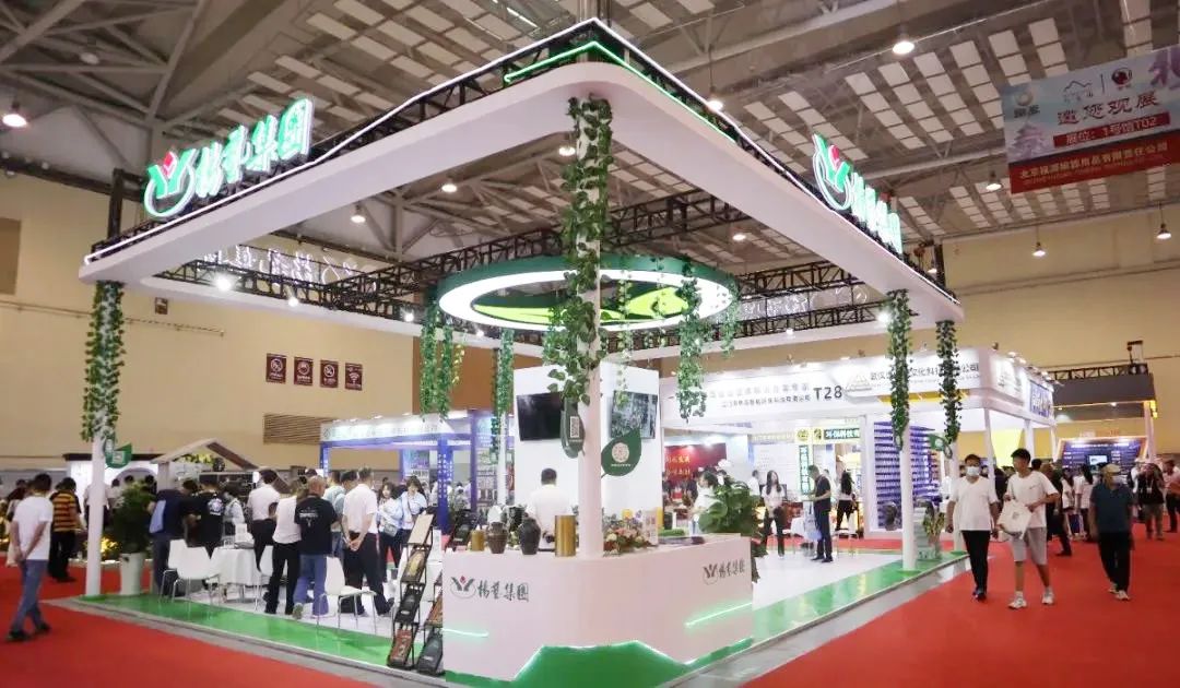 南宫NG28相信品牌的实力网址(中国)官网