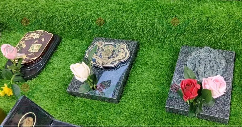 南宫NG28相信品牌的实力网址(中国)官网