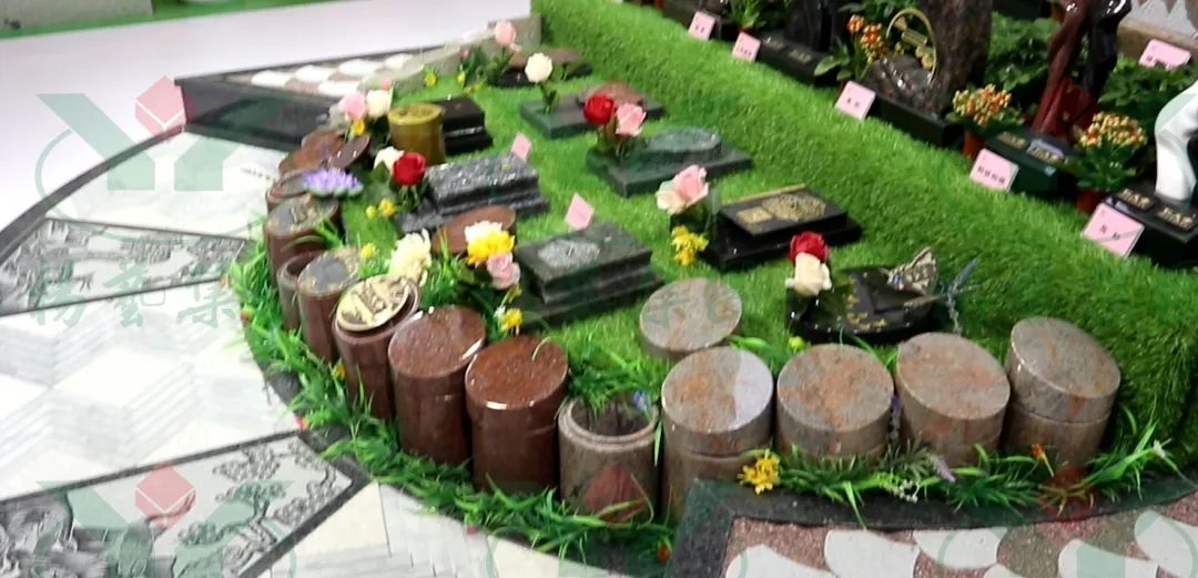 南宫NG28相信品牌的实力网址(中国)官网