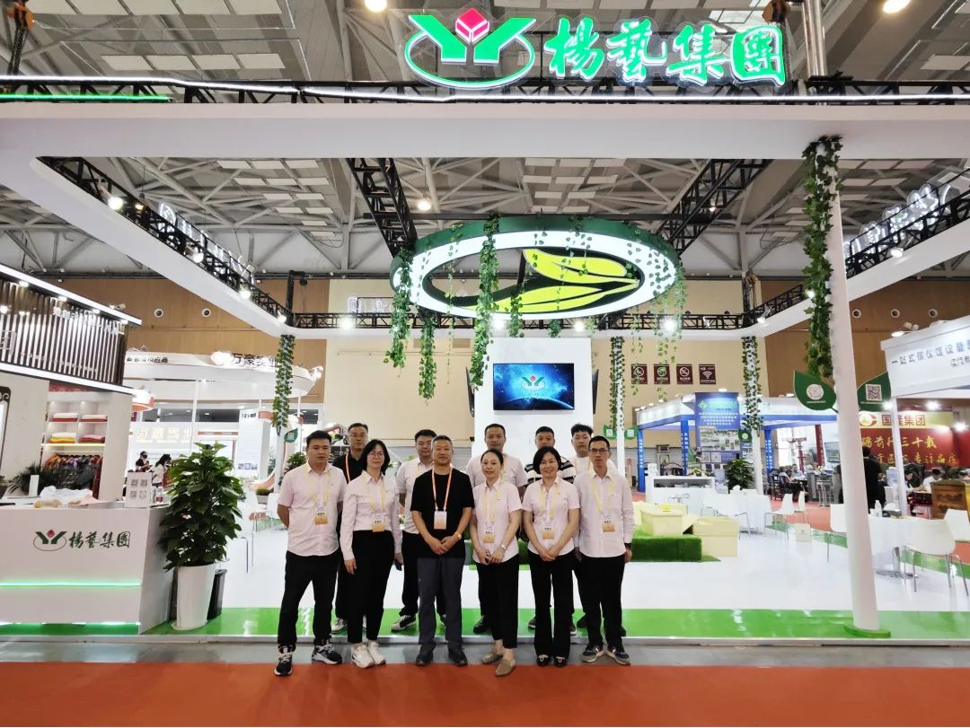 南宫NG28相信品牌的实力网址(中国)官网