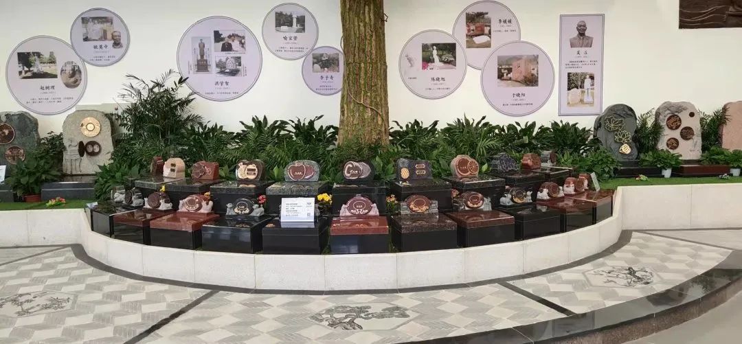 南宫NG28相信品牌的实力网址(中国)官网