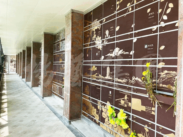 南宫NG28相信品牌的实力网址(中国)官网