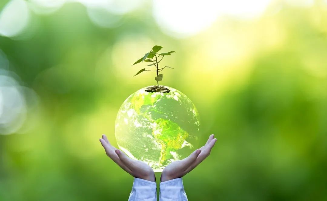 南宫NG28相信品牌的实力网址(中国)官网