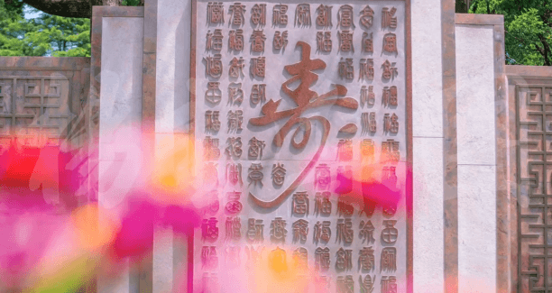 南宫NG28相信品牌的实力网址(中国)官网