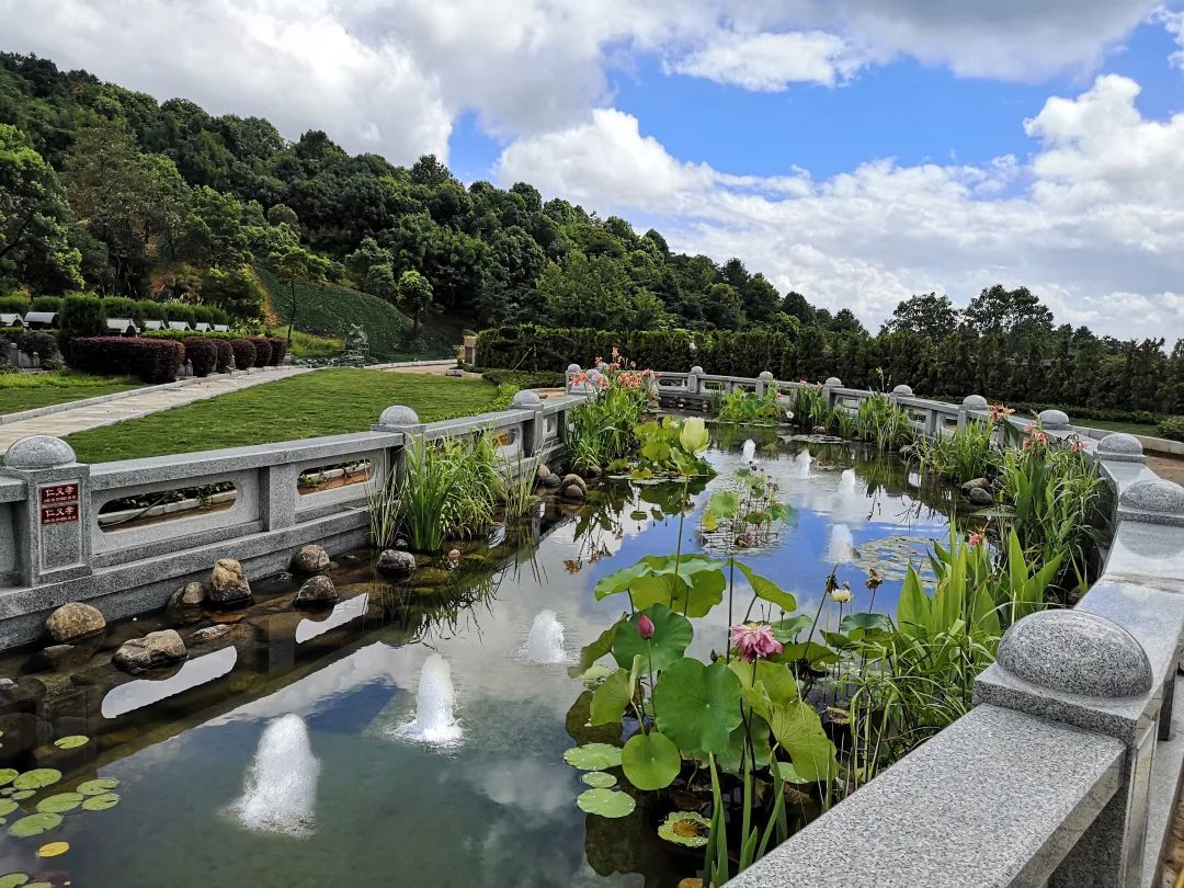 南宫NG28相信品牌的实力网址(中国)官网