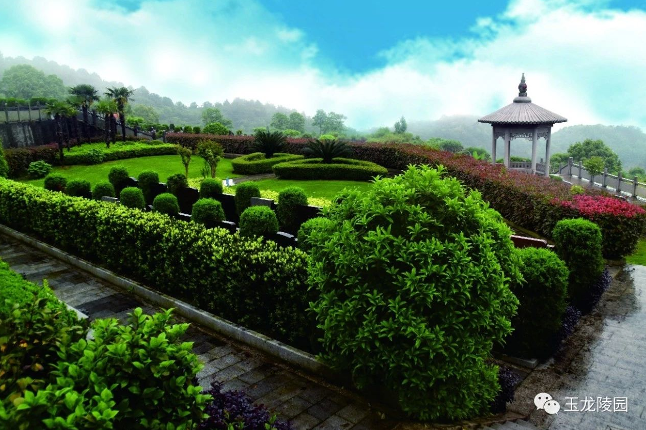 南宫NG28相信品牌的实力网址(中国)官网