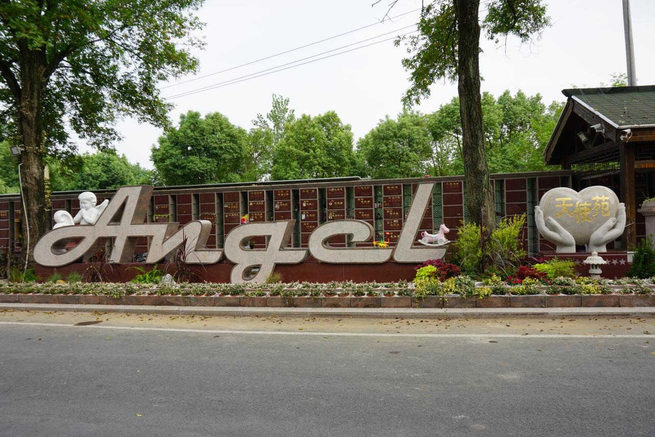 南宫NG28相信品牌的实力网址(中国)官网