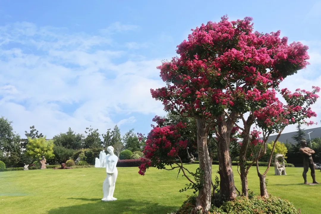 南宫NG28相信品牌的实力网址(中国)官网