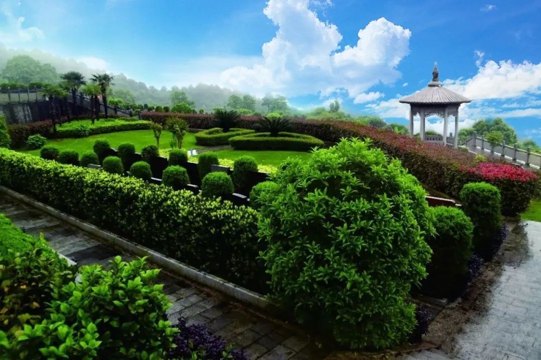 南宫NG28相信品牌的实力网址(中国)官网