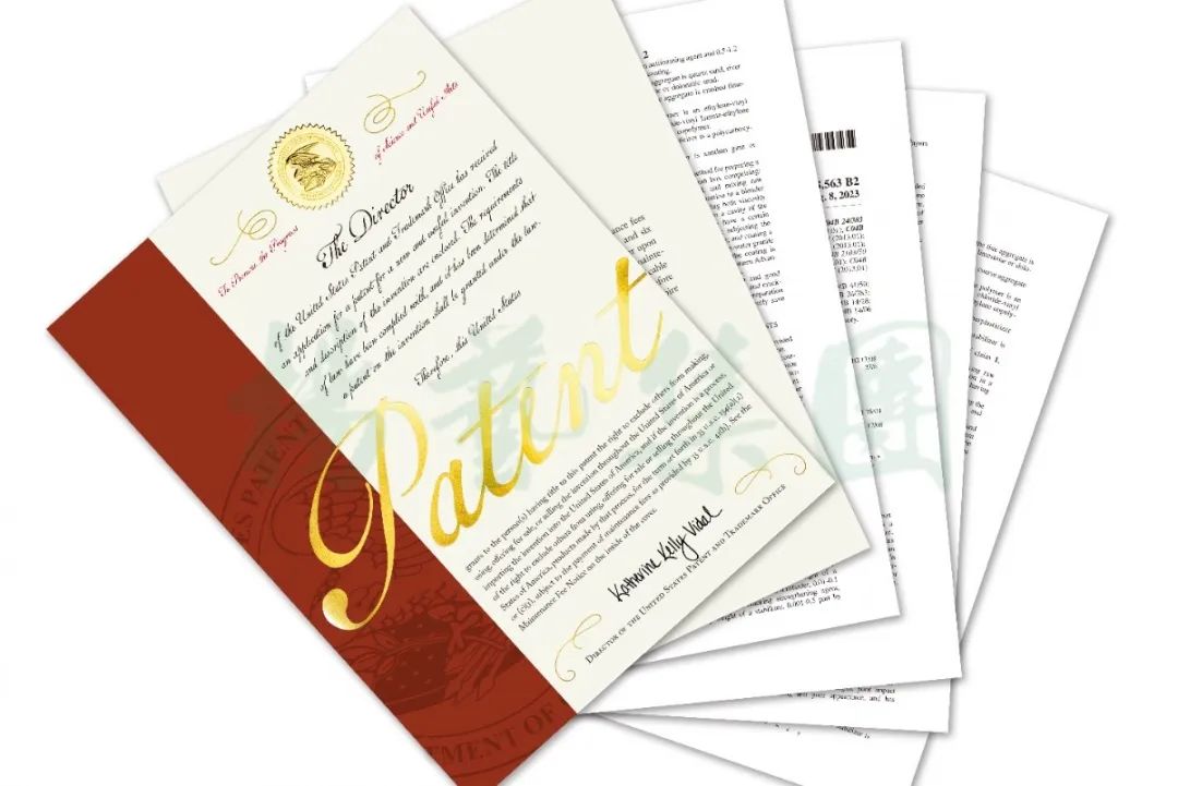 南宫NG28相信品牌的实力网址(中国)官网