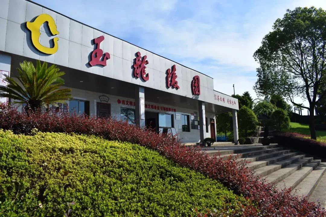 南宫NG28相信品牌的实力网址(中国)官网