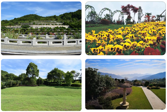 南宫NG28相信品牌的实力网址(中国)官网