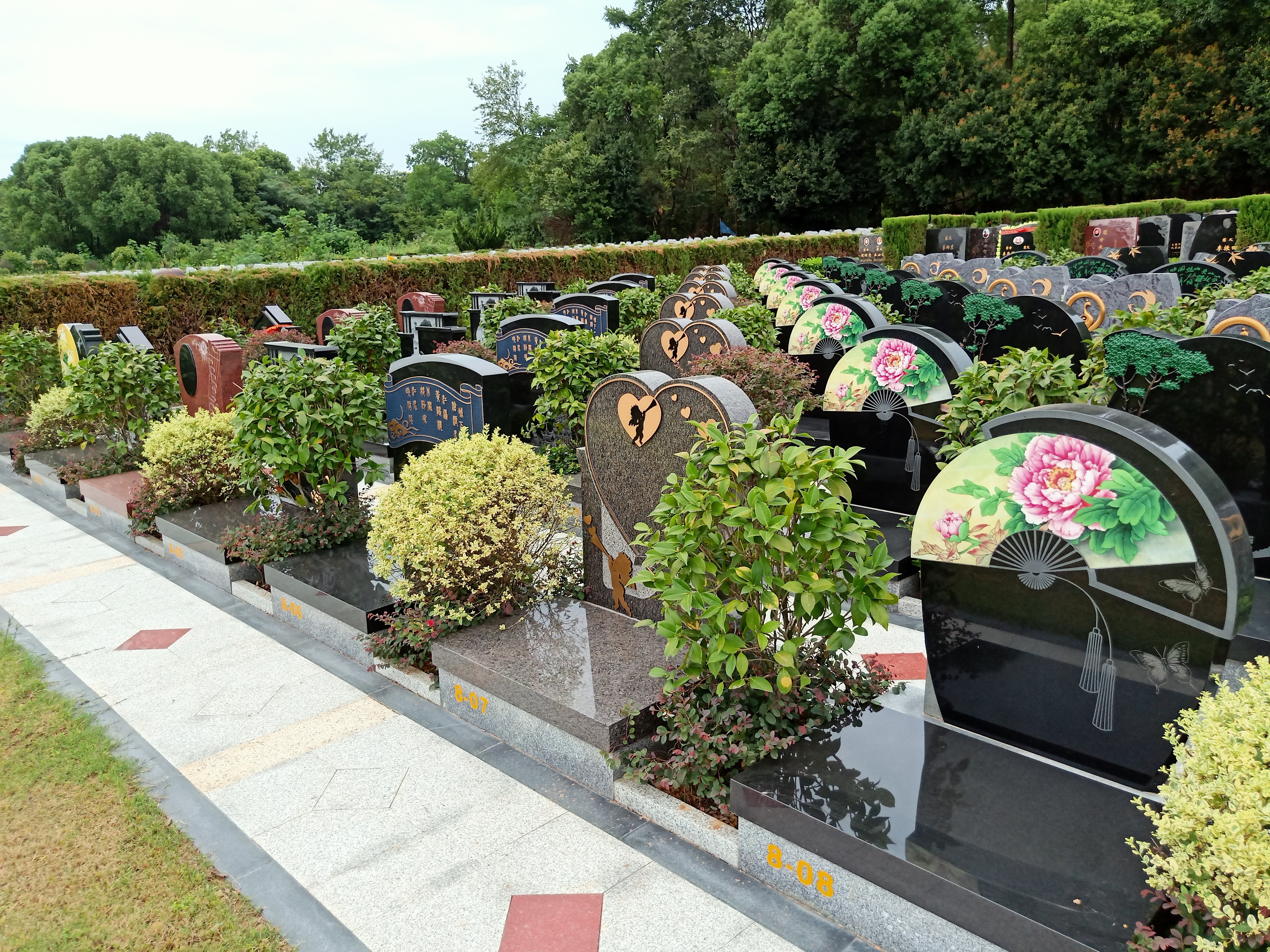 南宫NG28相信品牌的实力网址(中国)官网