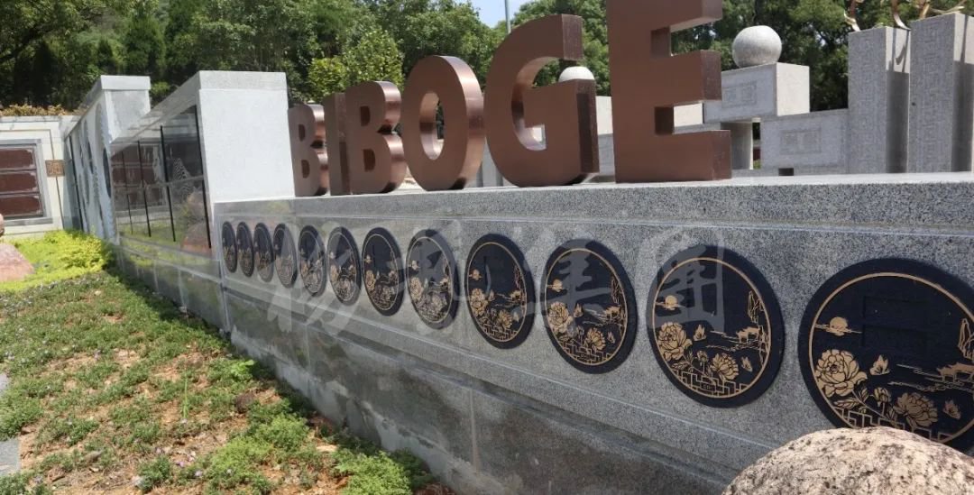 南宫NG28相信品牌的实力网址(中国)官网