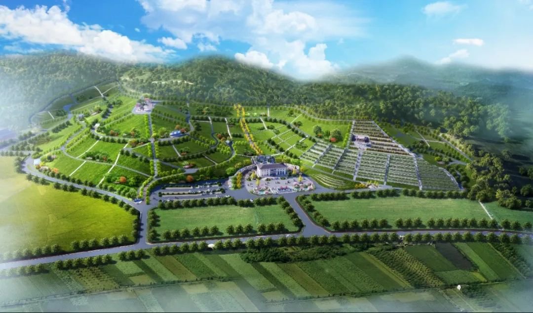 南宫NG28相信品牌的实力网址(中国)官网