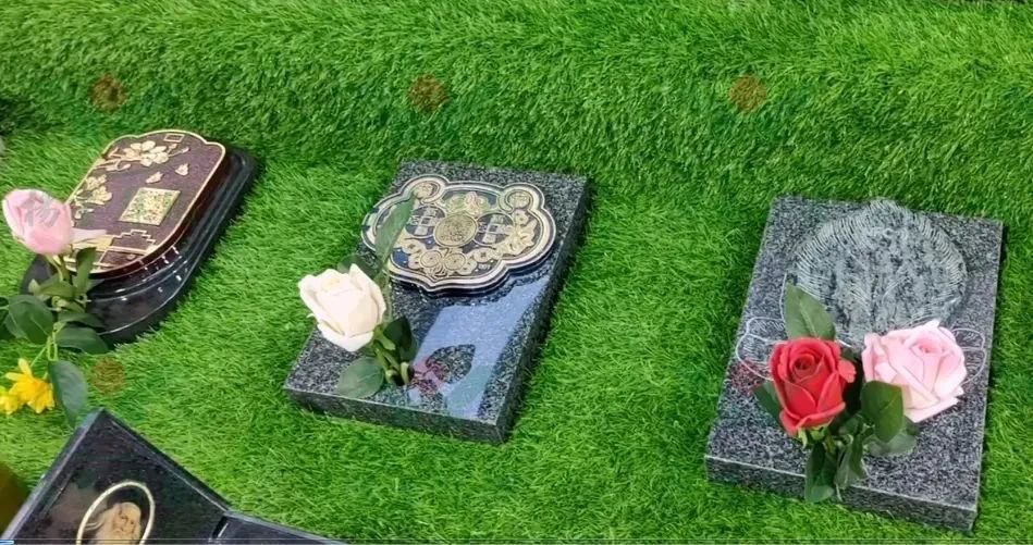 南宫NG28相信品牌的实力网址(中国)官网