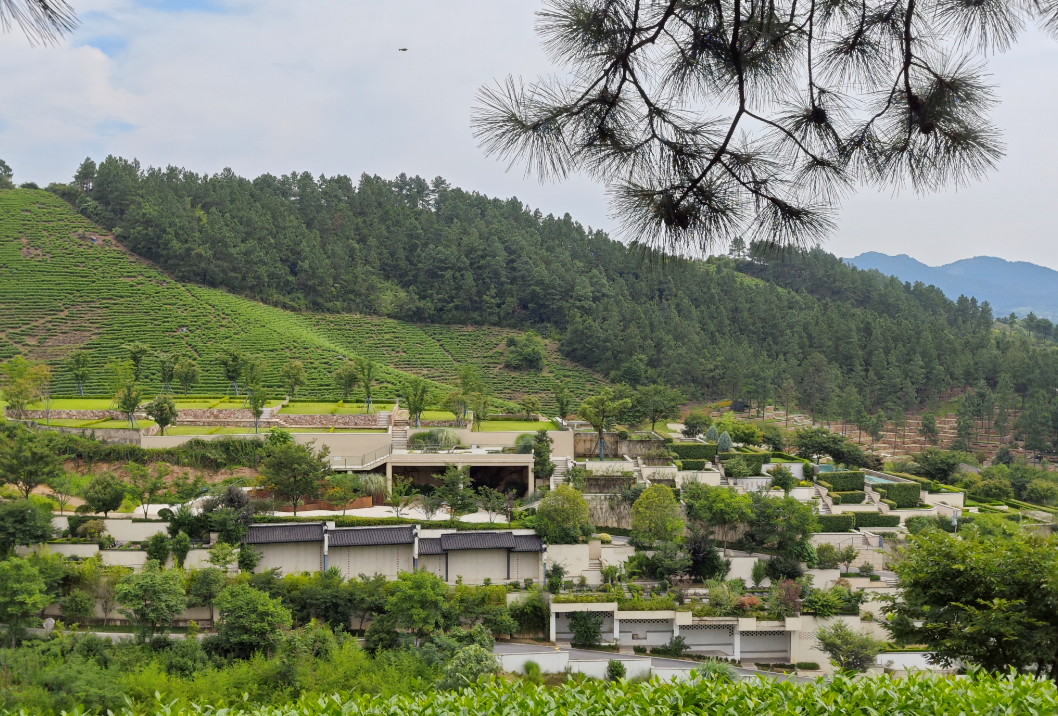 南宫NG28相信品牌的实力网址(中国)官网