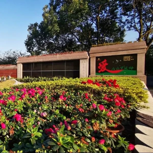 南宫NG28相信品牌的实力网址(中国)官网