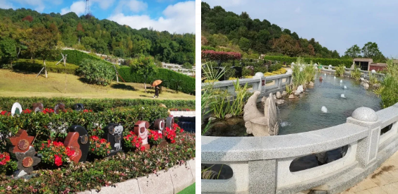 南宫NG28相信品牌的实力网址(中国)官网