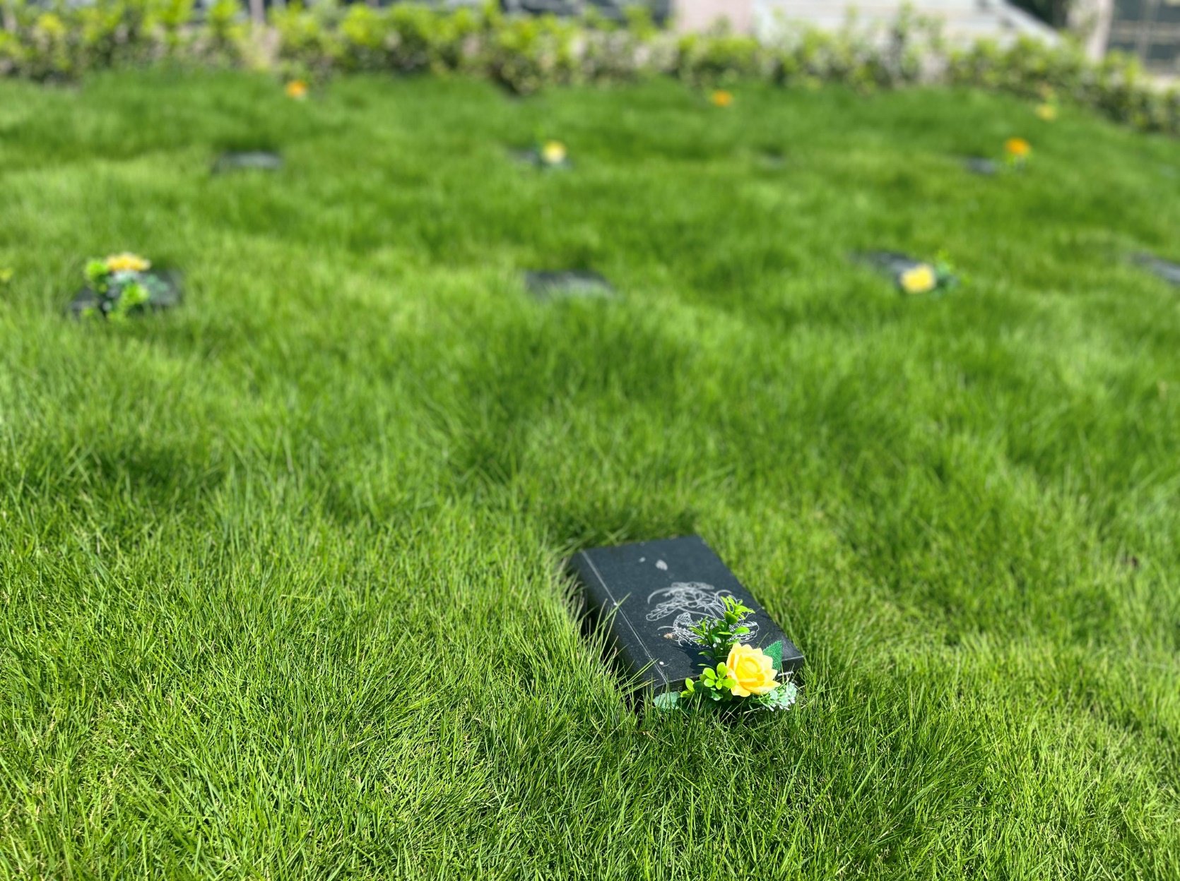 南宫NG28相信品牌的实力网址(中国)官网