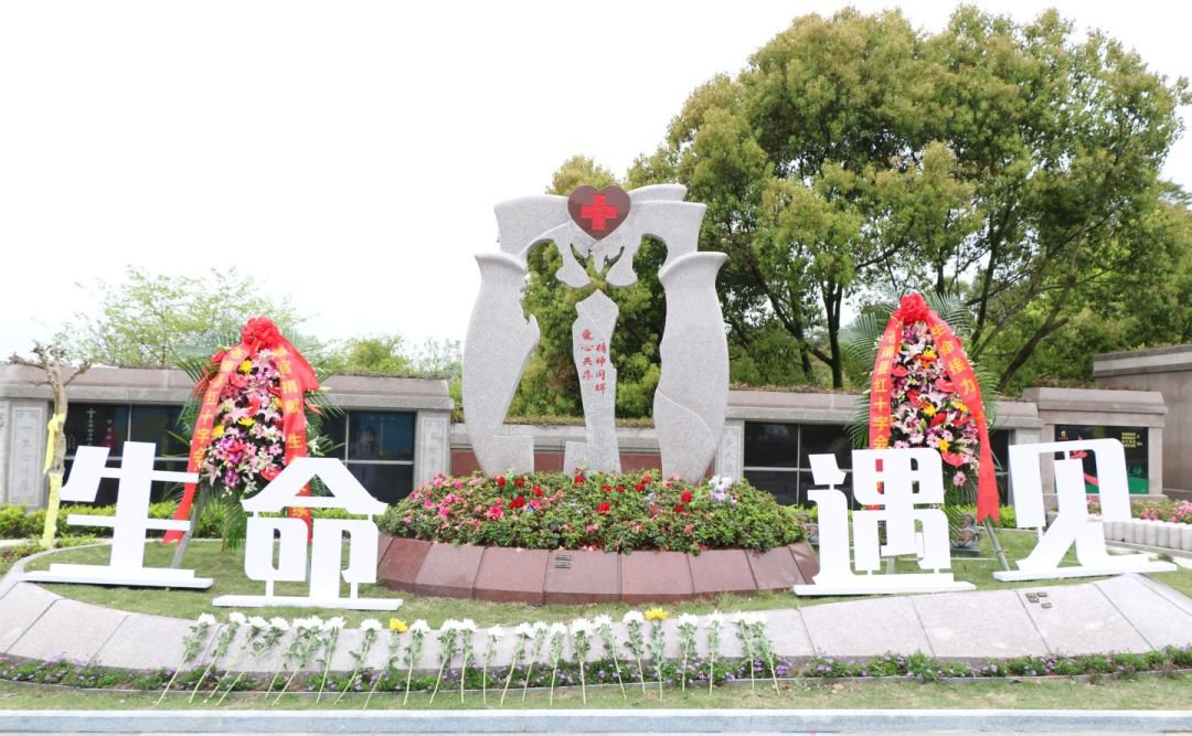 南宫NG28相信品牌的实力网址(中国)官网