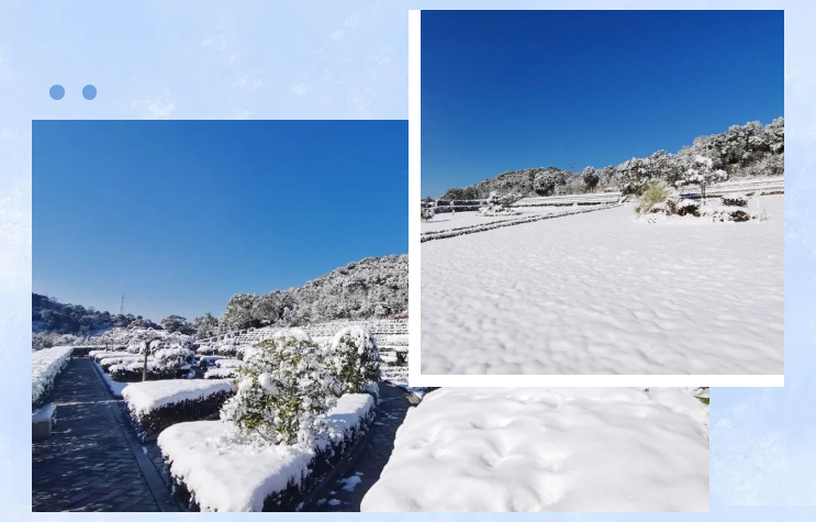 南宫NG28相信品牌的实力网址(中国)官网