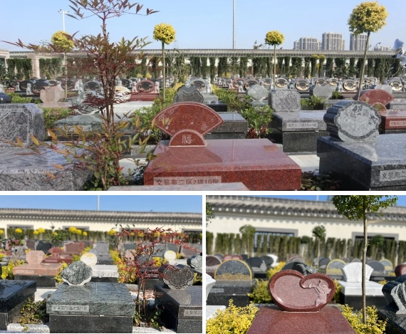 南宫NG28相信品牌的实力网址(中国)官网