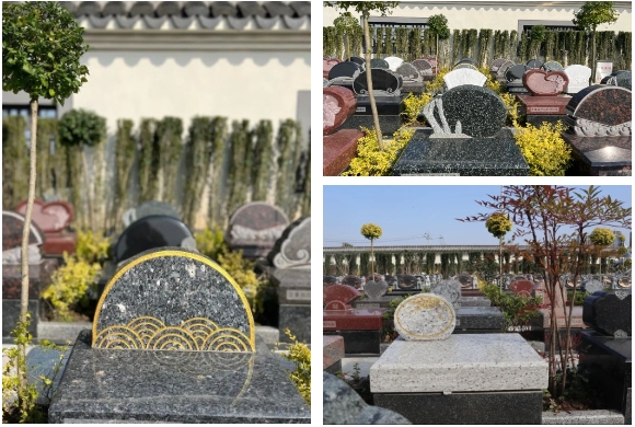 南宫NG28相信品牌的实力网址(中国)官网