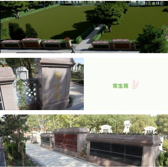 南宫NG28相信品牌的实力网址(中国)官网