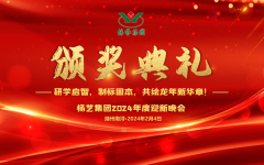 2024年南宫NG28集团迎新春年会暨颁奖仪式盛放纵行