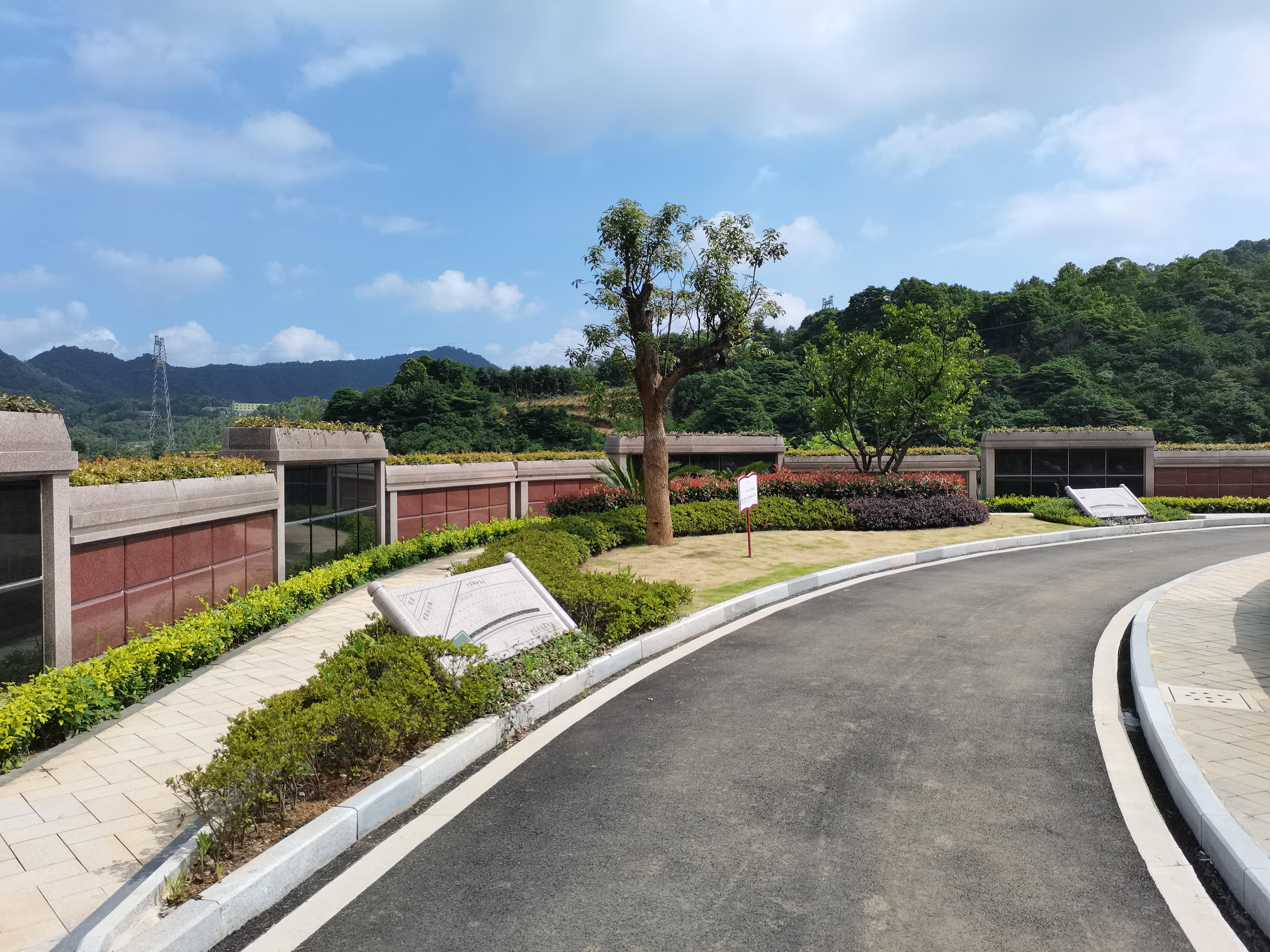 海葬和树葬哪个好？？？？？？两种生态葬祭方法的选择与意义